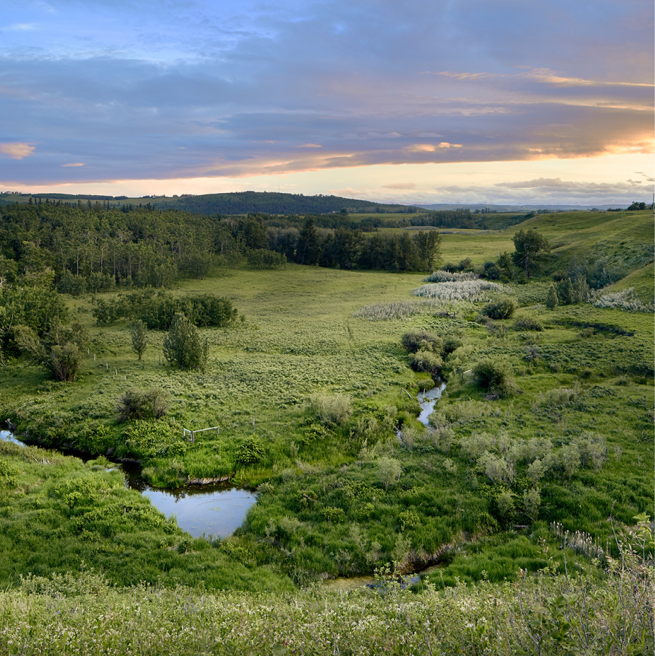 Green valley landscape with winding creek at sunset