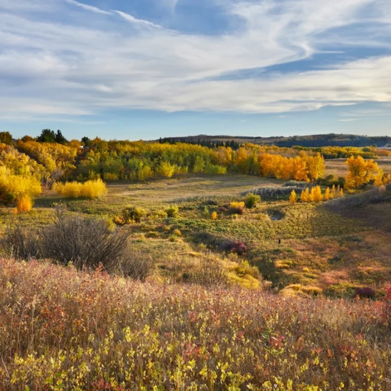 HudsonInPineCreek-203