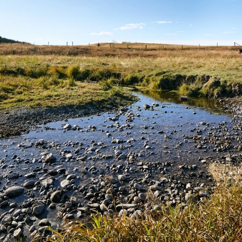 HudsonInPineCreek-206