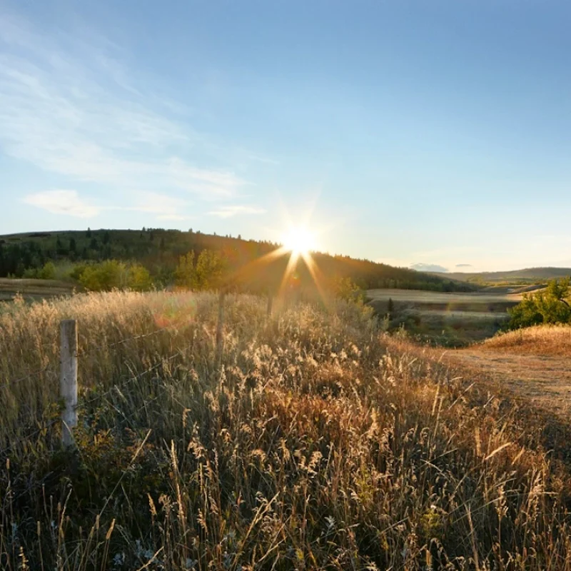 HudsonInPineCreek-207