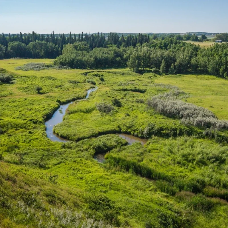 HudsonInPineCreek-208