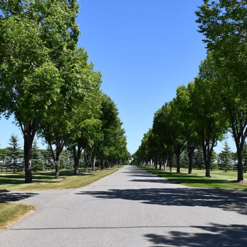 Portfolio-Residential16-1200x800